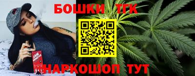 индика Ирбит