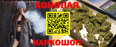 индика Ирбит